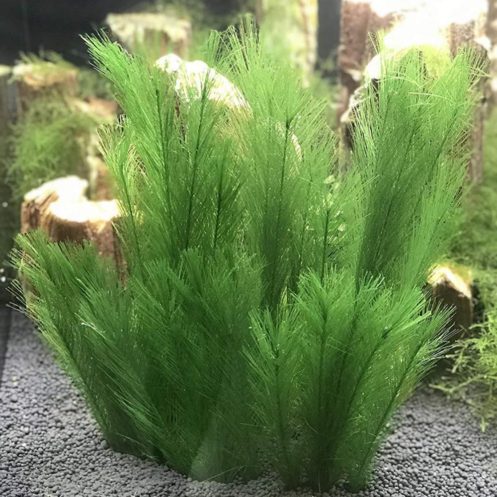 Live Plant Aquarium - 1/3Pcs 28/40cm Aquarium Fish Tank Artificial
