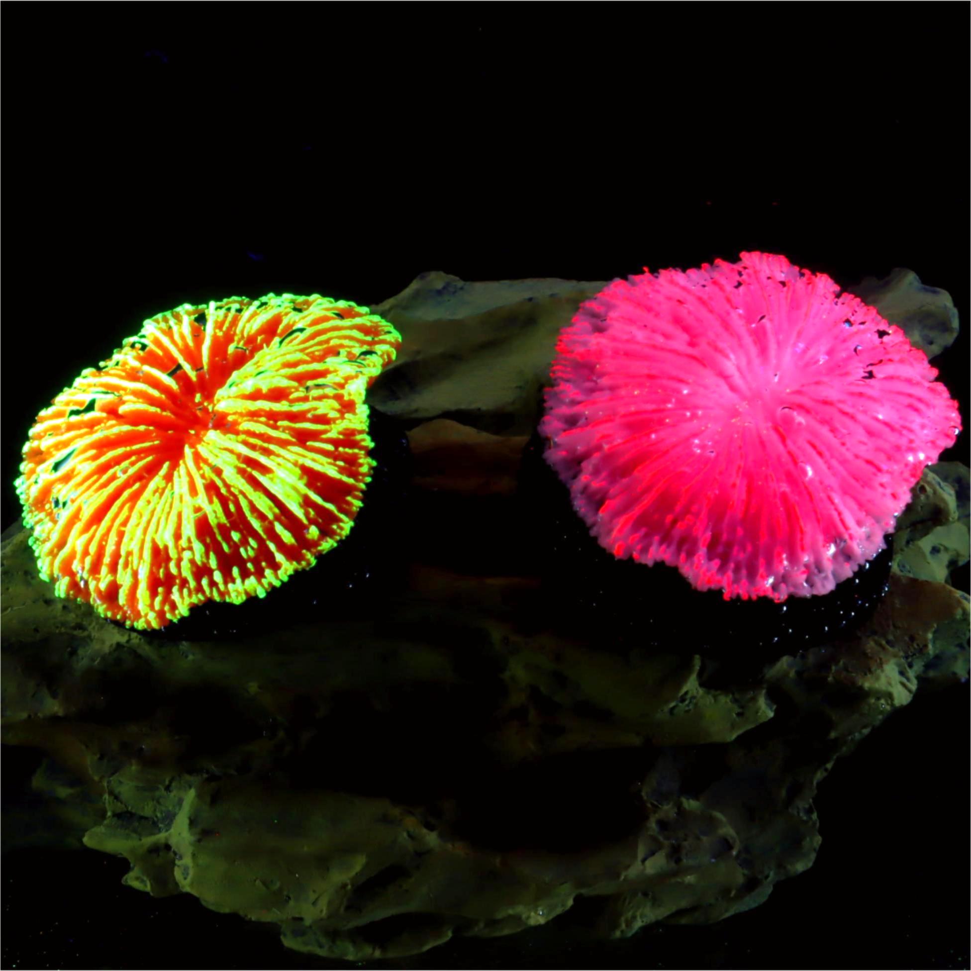 Live Plant Aquarium - 1 Piece Aquarium Decoration Saw Coral,