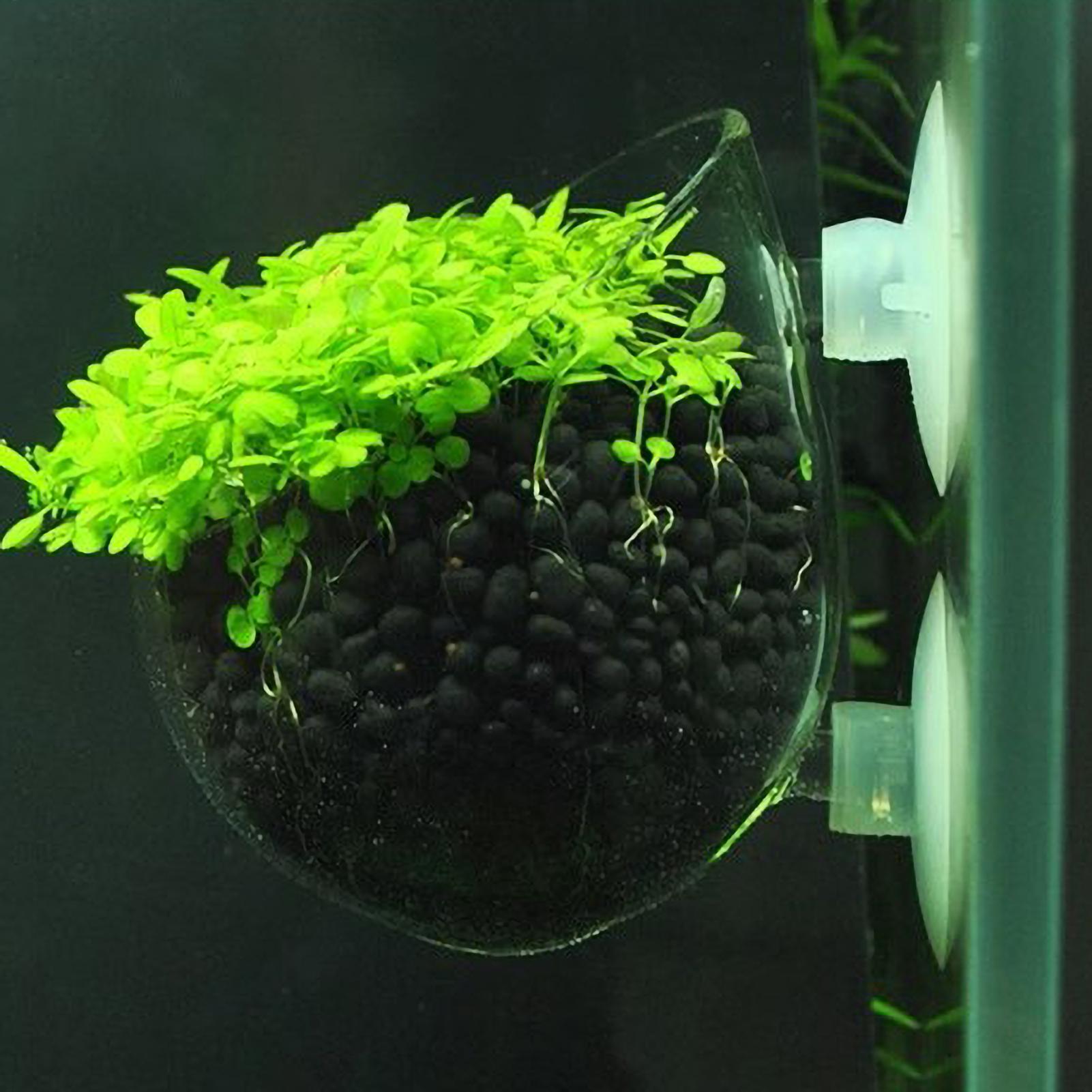 Plant Aquarium Pot - Aquarium Plant Holder Glass Aquatic Plant