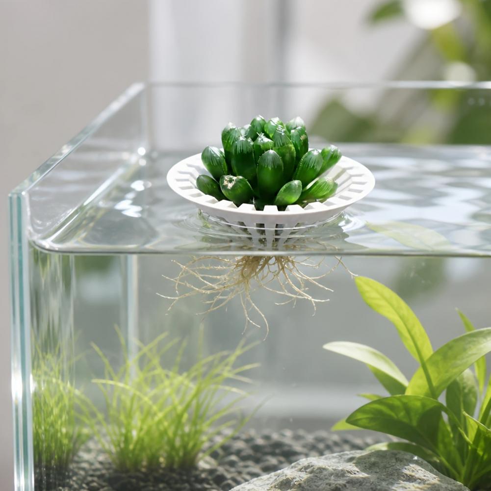 Aquarium Plant Holder - Aquarium Hydroponic Planter 3d Printed Floating