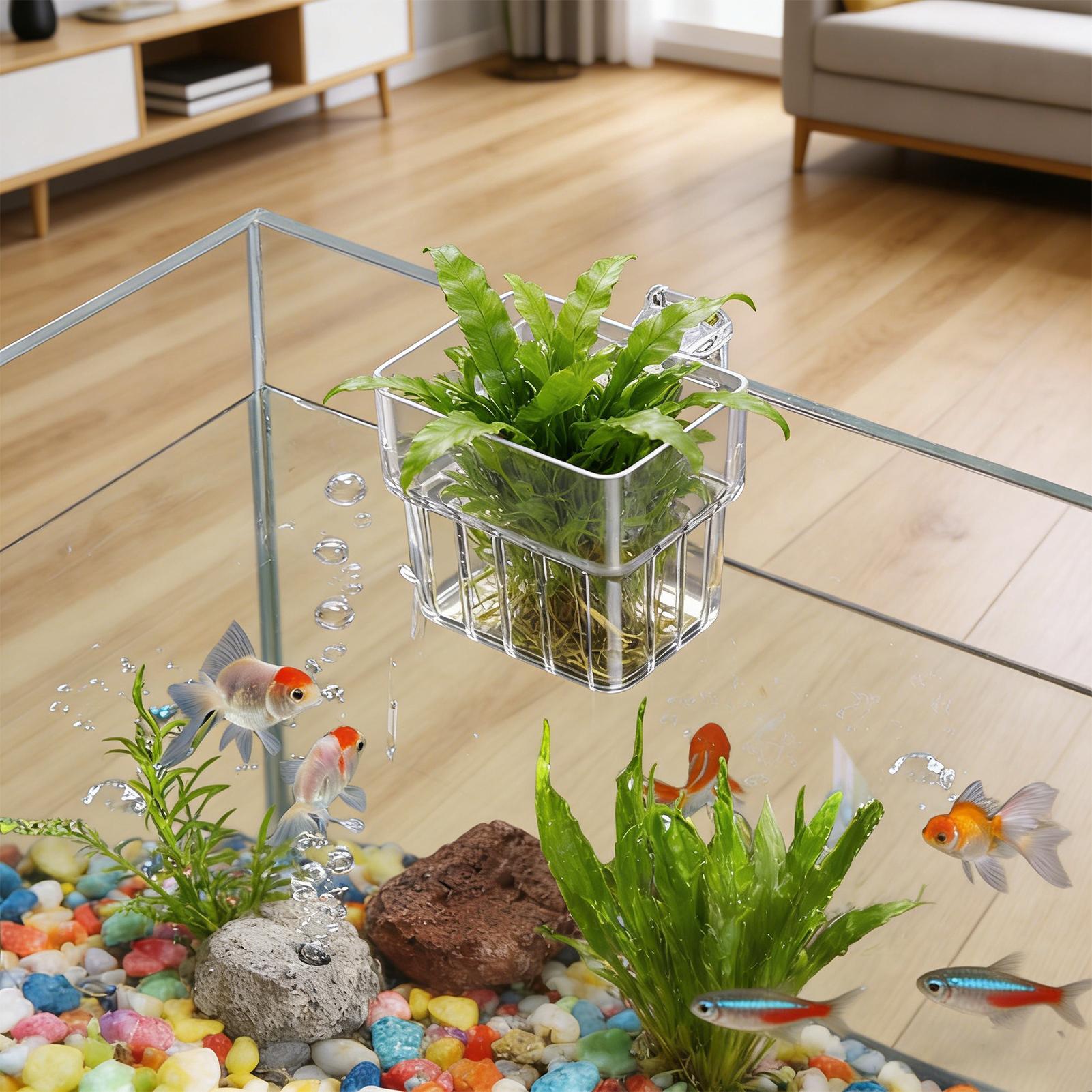 Aquarium Plants Live - Fish Tank Fixed Basket Wall mounted