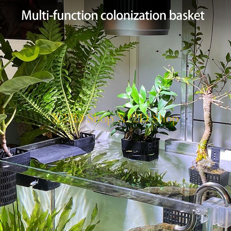 Plant Aquarium Pot - X22D Phong cách cổ xưa hiện