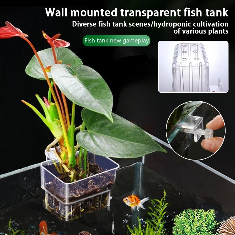 Plant Aquarium Pot - Aquarium Hanging Planter Cups Wall Mounted