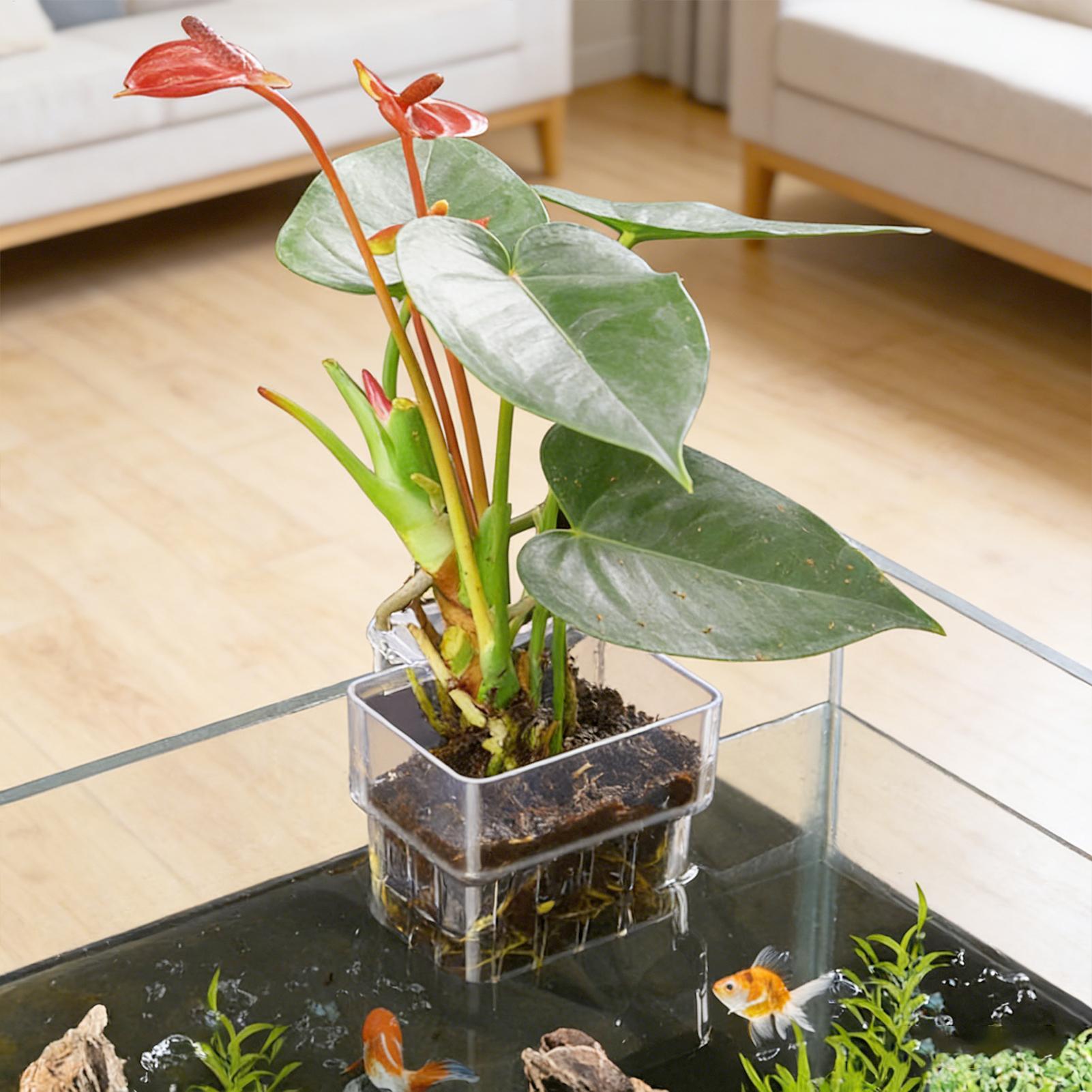 Plant Aquarium Pot - Aquarium Plant Basket Transparent Fish Tank