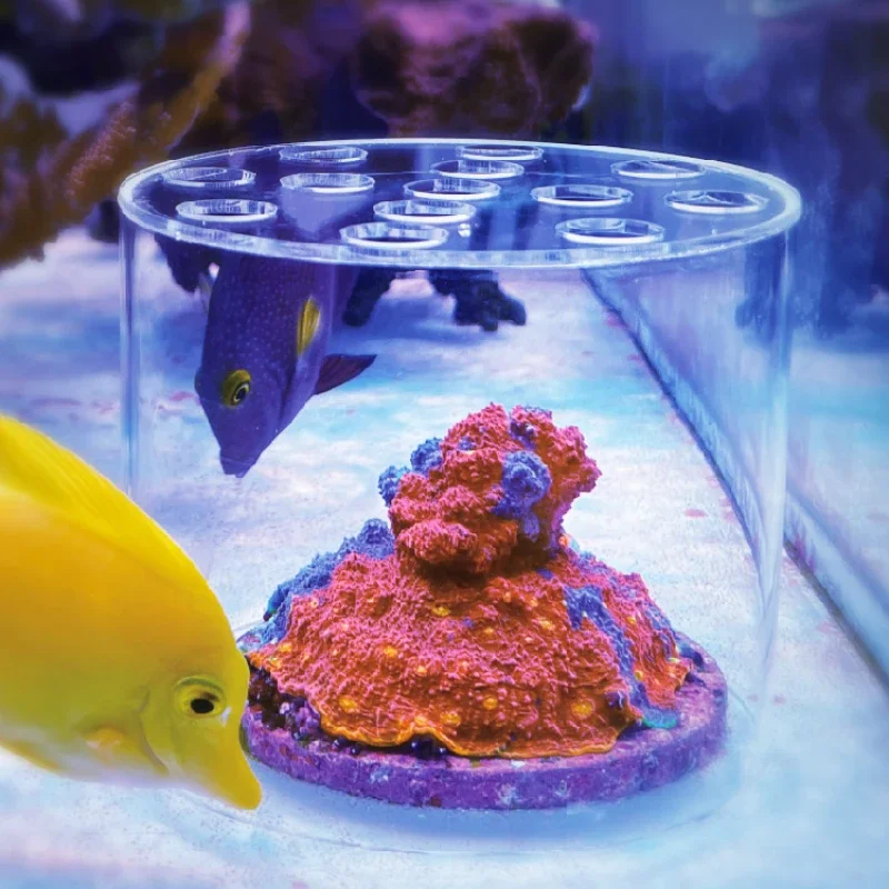 Aquarium Fertilizer - Vastocean Aquarium Arcylic Coral Feeder Hood