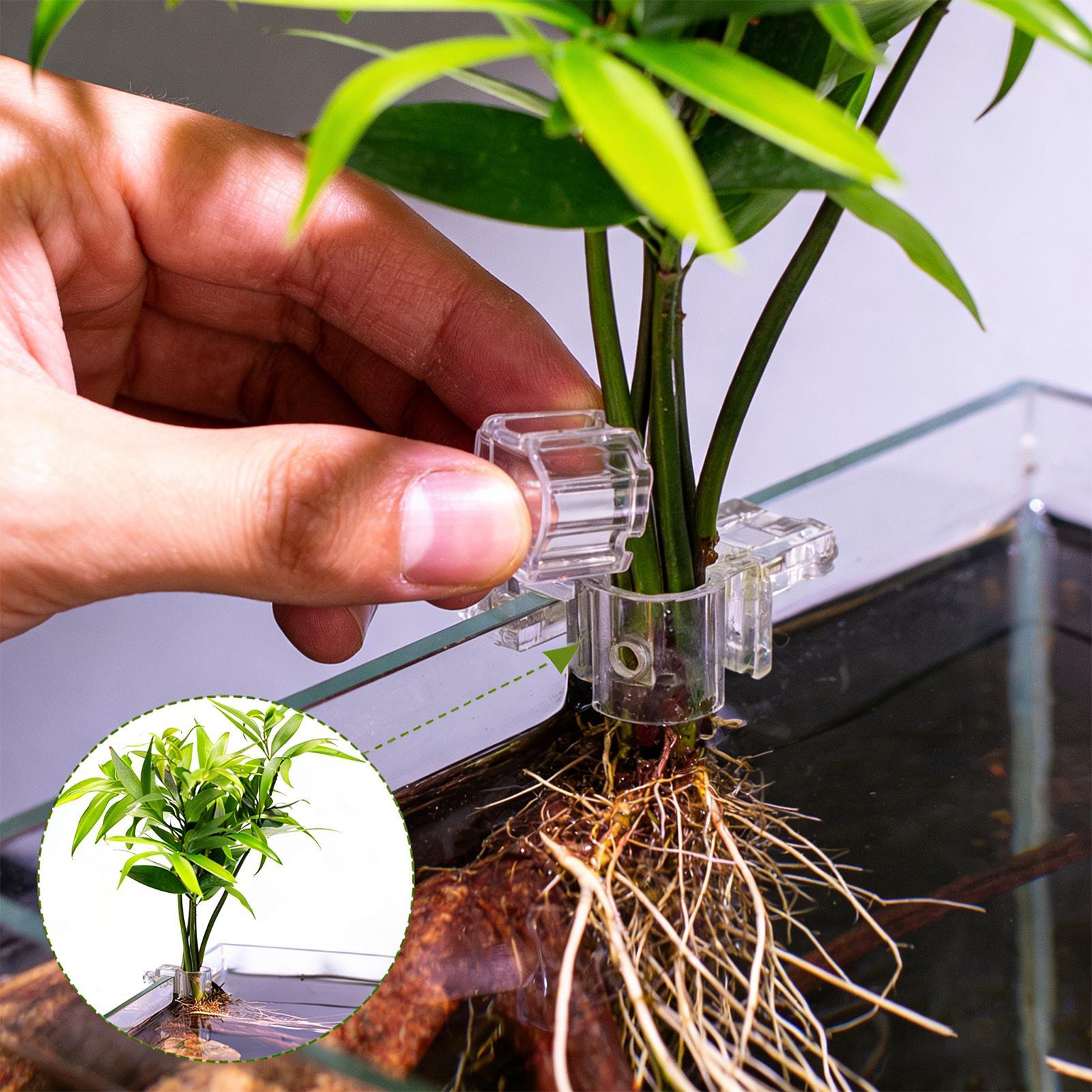 Aquarium Plants Live - 6pcs Aquarium Plant Holders Clear Planting