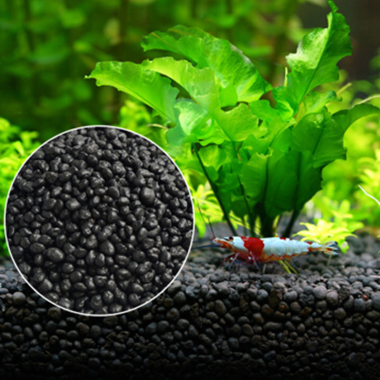Aquarium Plant Substrate - Bể Cá Cảnh Vật Có Hạt