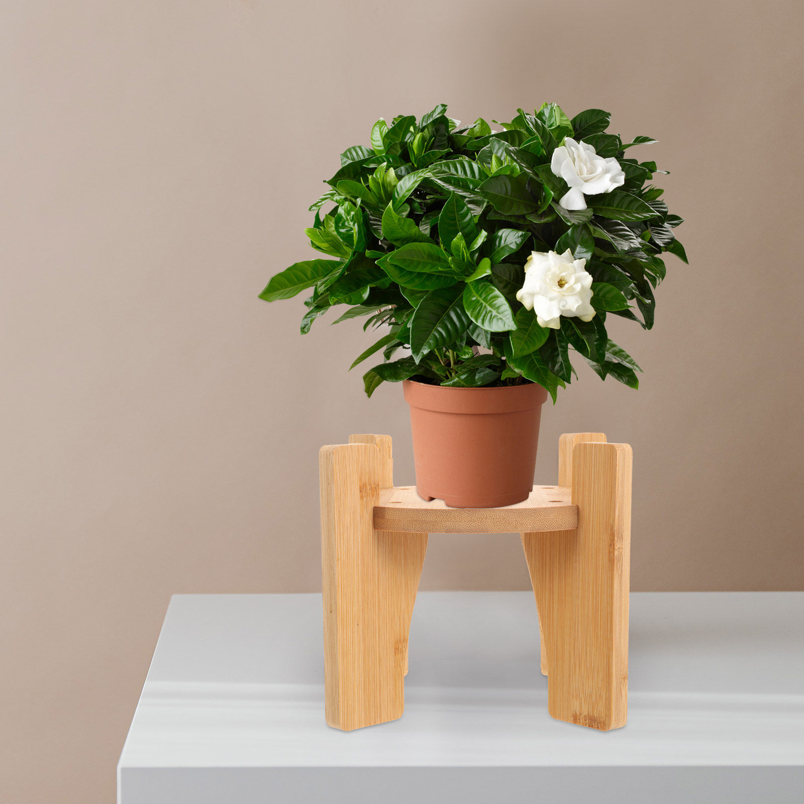 Planted Tank - Wooden Drink Dispenser Stand Round Pedestal