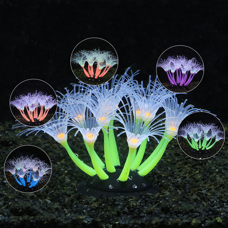 50/75/100CM Linh Hoạt Hải Quỳ  - đánh giá và giá Aquarium Plant Substrate