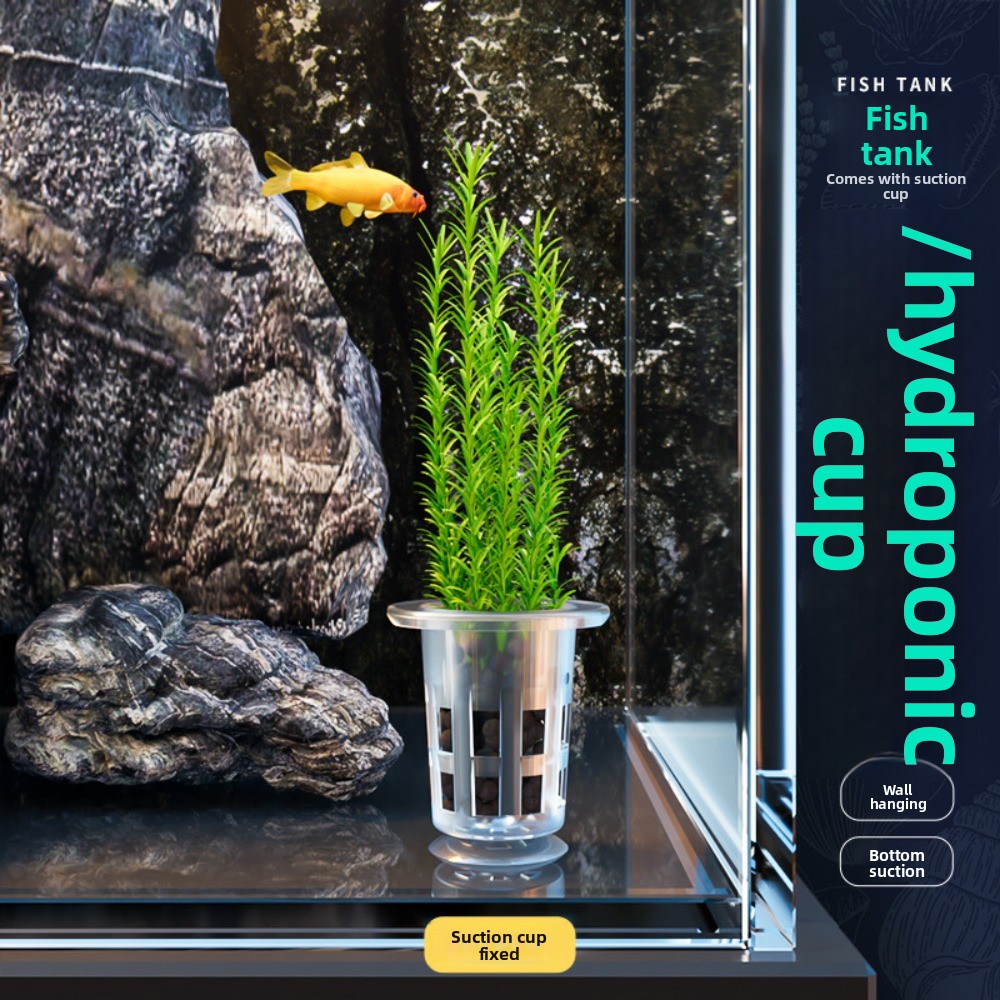 10Pcs Transparent Plant Hydrop - đánh giá và giá Plant Aquarium Pot