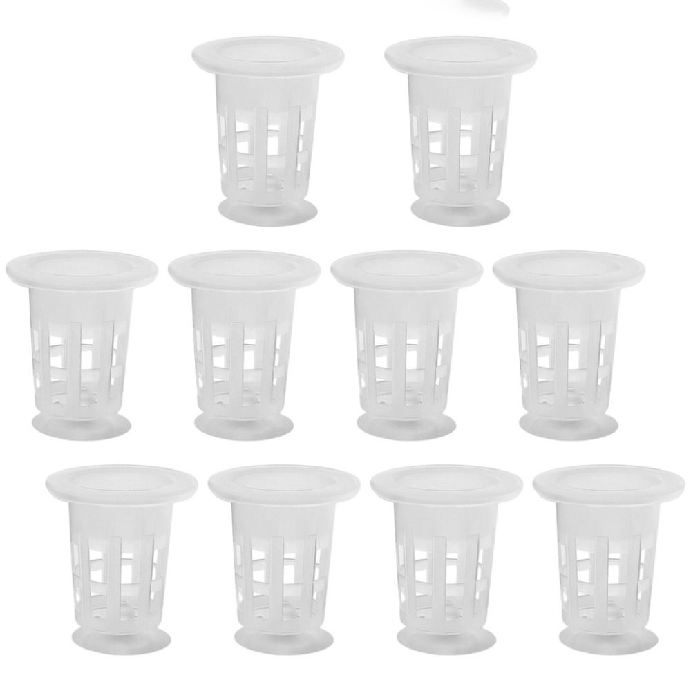 10Pcs Transparent Plant Hydrop - đánh giá và giá Plant Aquarium Pot