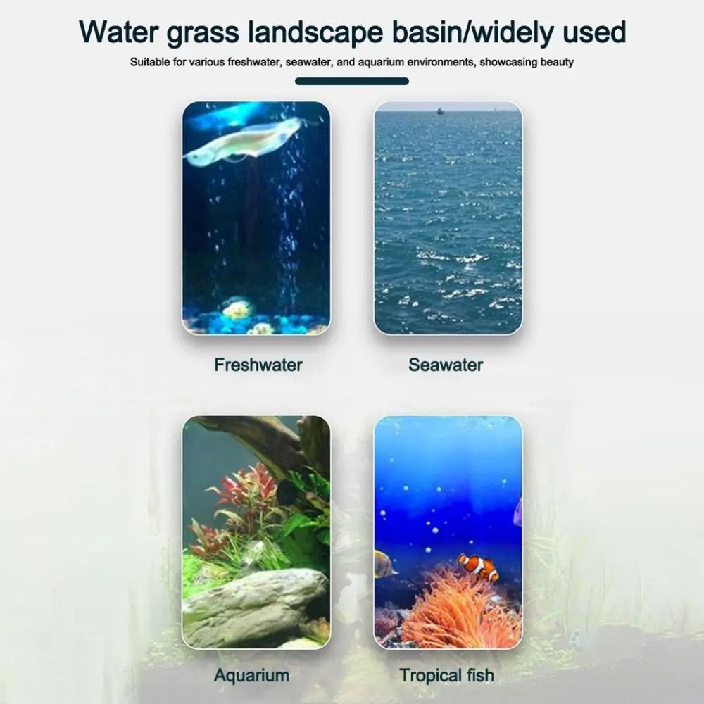 10Pcs Transparent Plant Hydrop - đánh giá và giá Plant Aquarium Pot