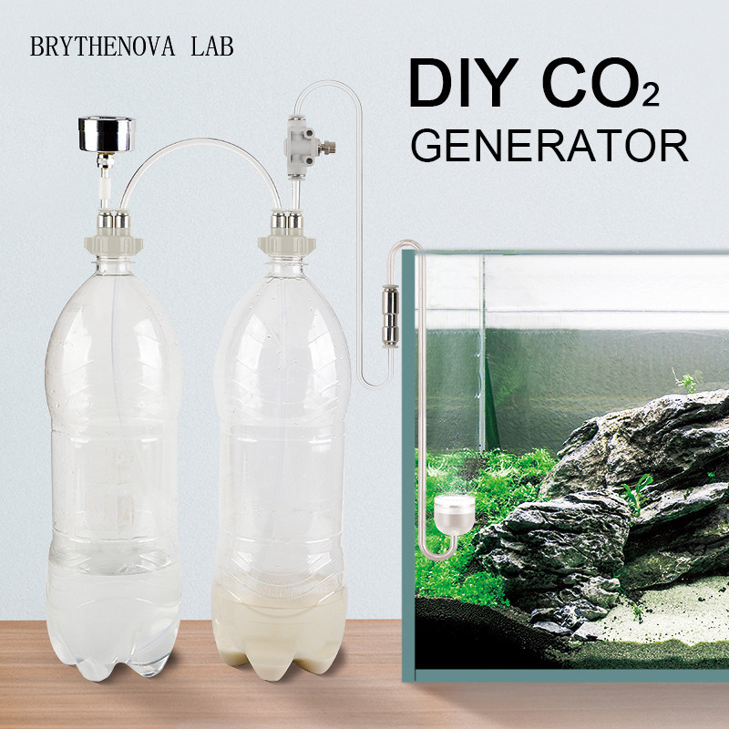 CO2 Generator Aquarium Planted - đánh giá và giá Aquarium Moss
