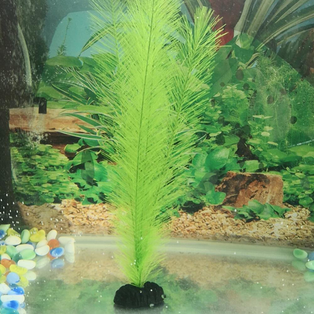 1/3Pcs 28/40cm Aquarium Fish T - đánh giá và giá Live Plant Aquarium