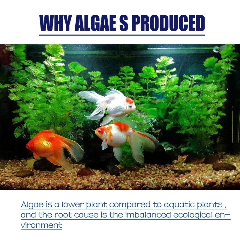 50g High Efficiency Algaecide  - đánh giá và giá Aquarium Fertilizer