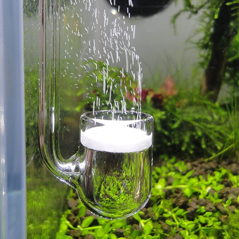 Máy khuếch tán CO2 thủy tinh D - đánh giá và giá Aquarium Liquid Carbon
