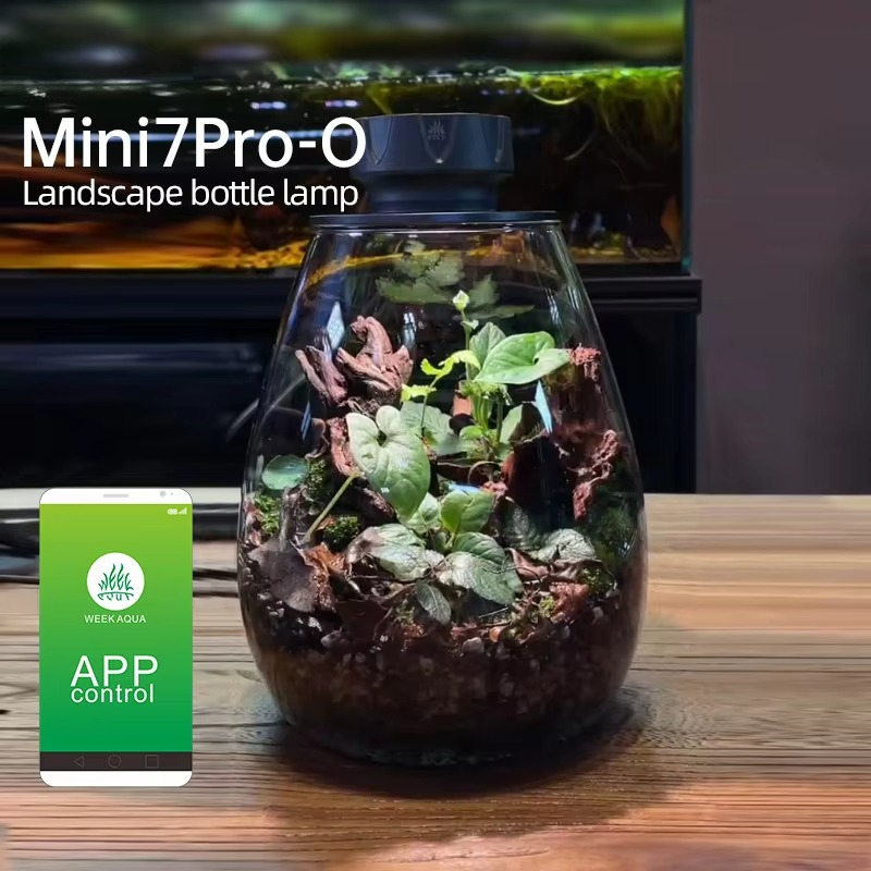COB Microlandscape Plant Fill  - đánh giá và giá Planted Tank
