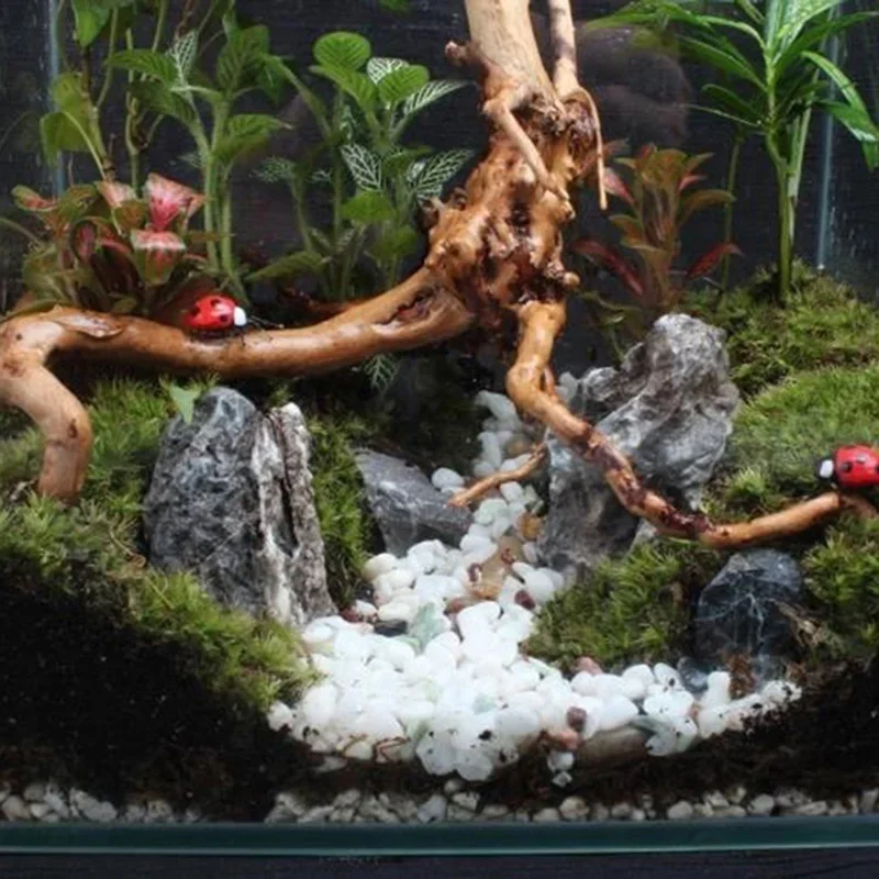 Natural Tree Trunk Driftwood A - đánh giá và giá Aquarium Plant Substrate