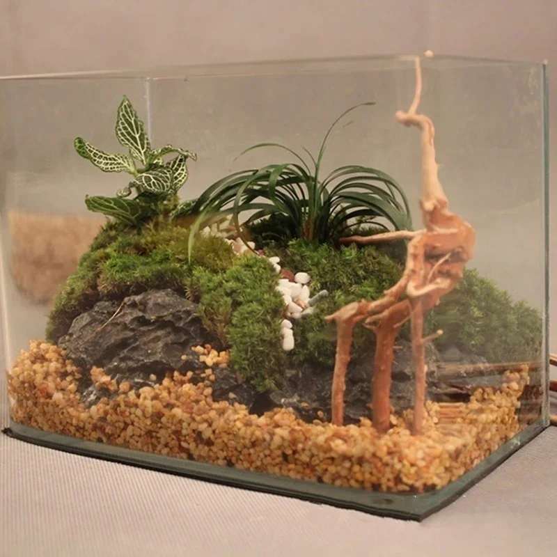 Natural Tree Trunk Driftwood A - đánh giá và giá Aquarium Plant Substrate