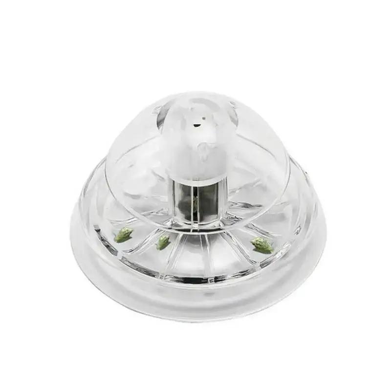 2026 New 6/8CM Clear Plastic S - đánh giá và giá Planted Aquarium Cleaning
