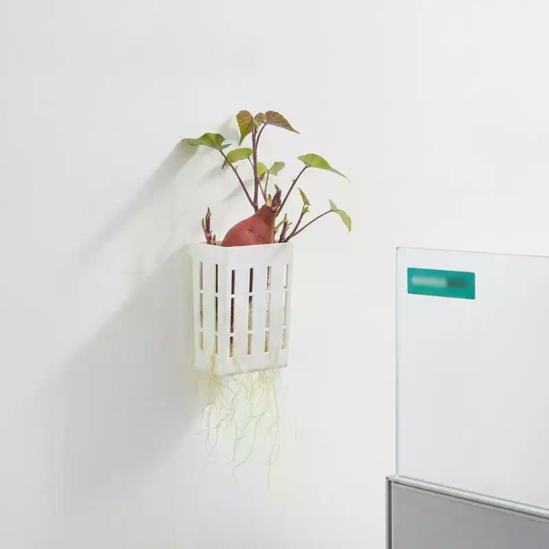 1Pcs Hydroponic Support Basket - đánh giá và giá Plant Aquarium Pot