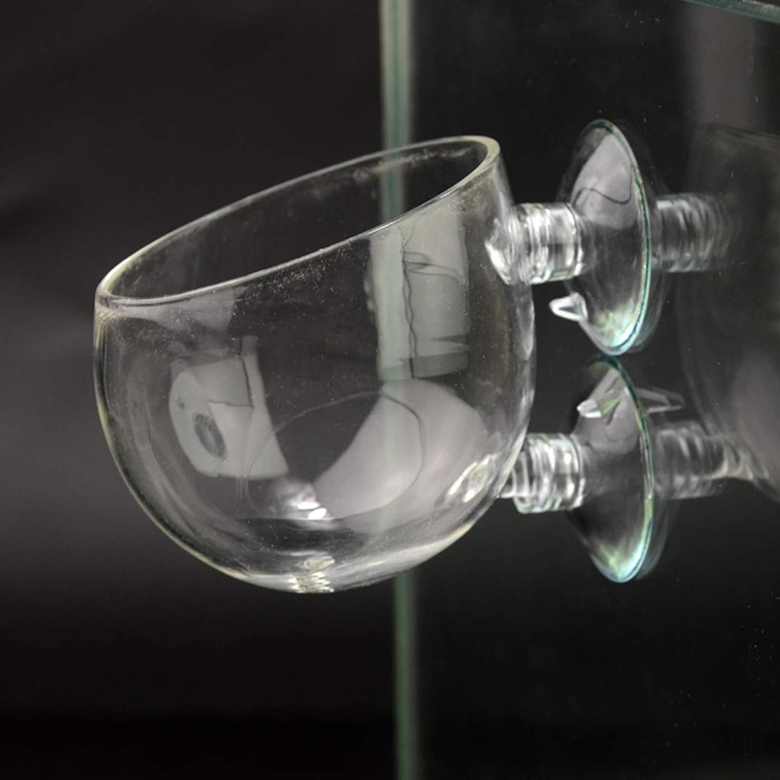 Aquarium Plant Holder Glass Aq - đánh giá và giá Plant Aquarium Pot