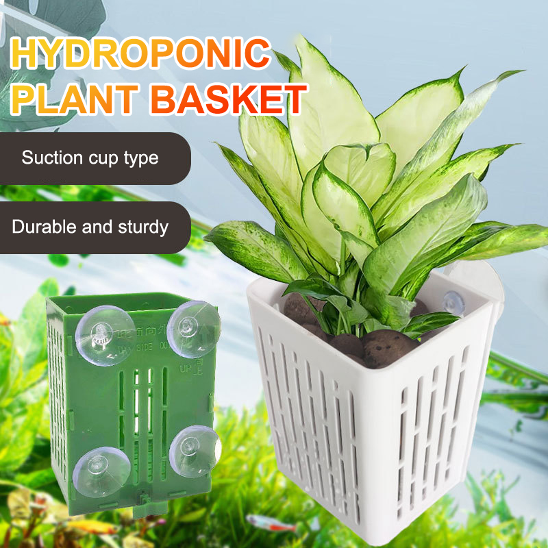 Hanging Suction Cup Hook Aquar - đánh giá và giá Plant Aquarium Pot
