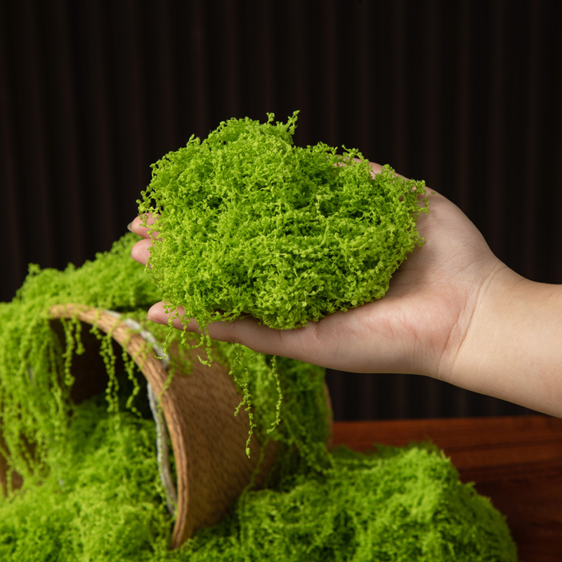 200g Eternal Life Moss DIY Cra - đánh giá và giá Aquarium Moss