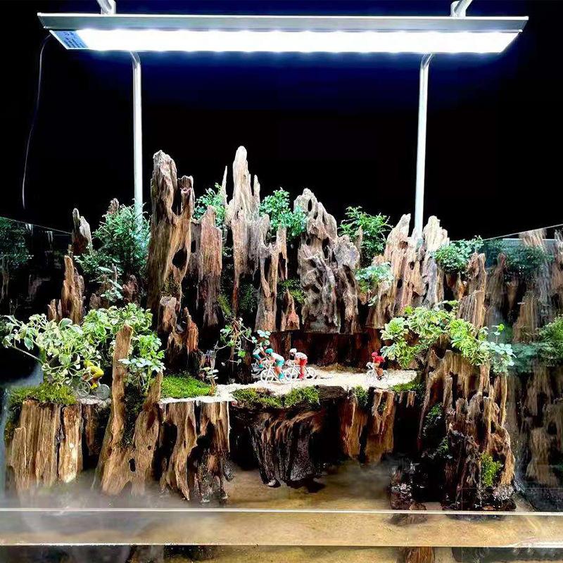 Shrimp Wood Aquarium Decor, Dr - đánh giá và giá Aquarium Driftwood