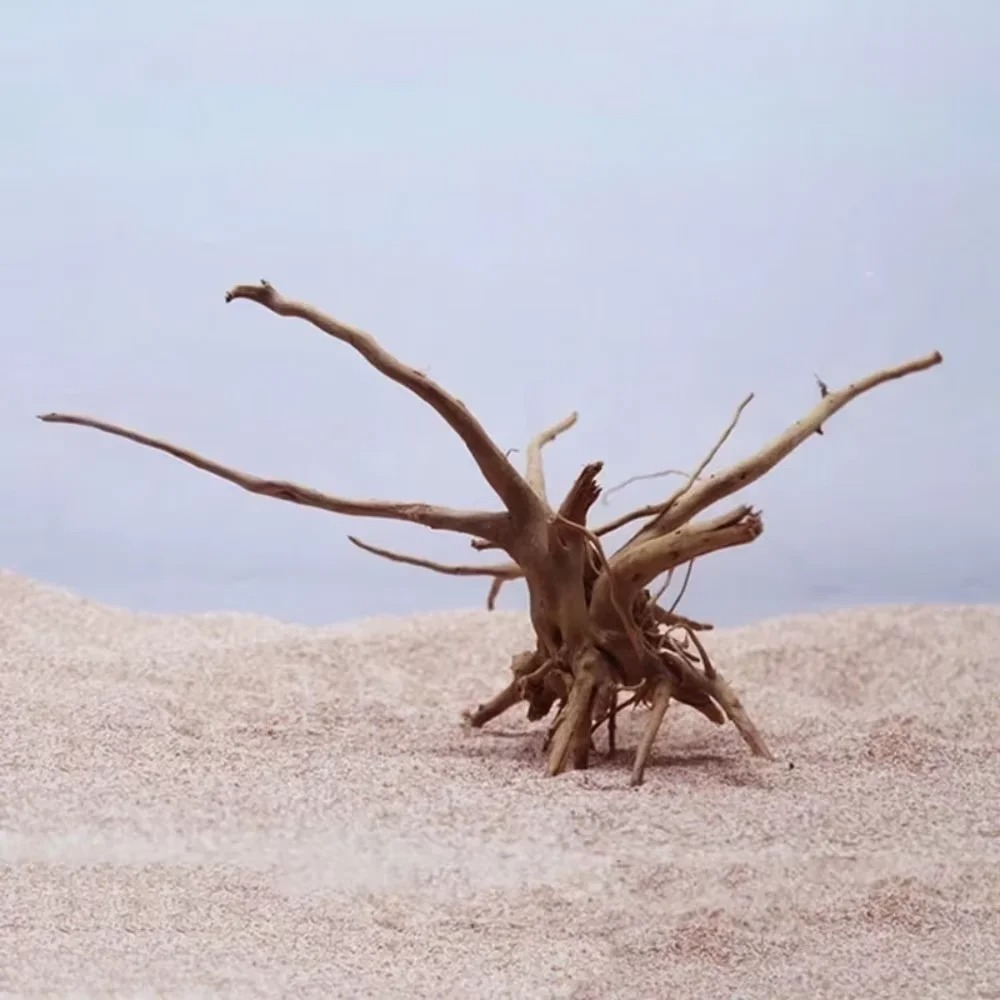 15-20CM Natural Driftwood Aqua - đánh giá và giá Aquarium Plant Substrate