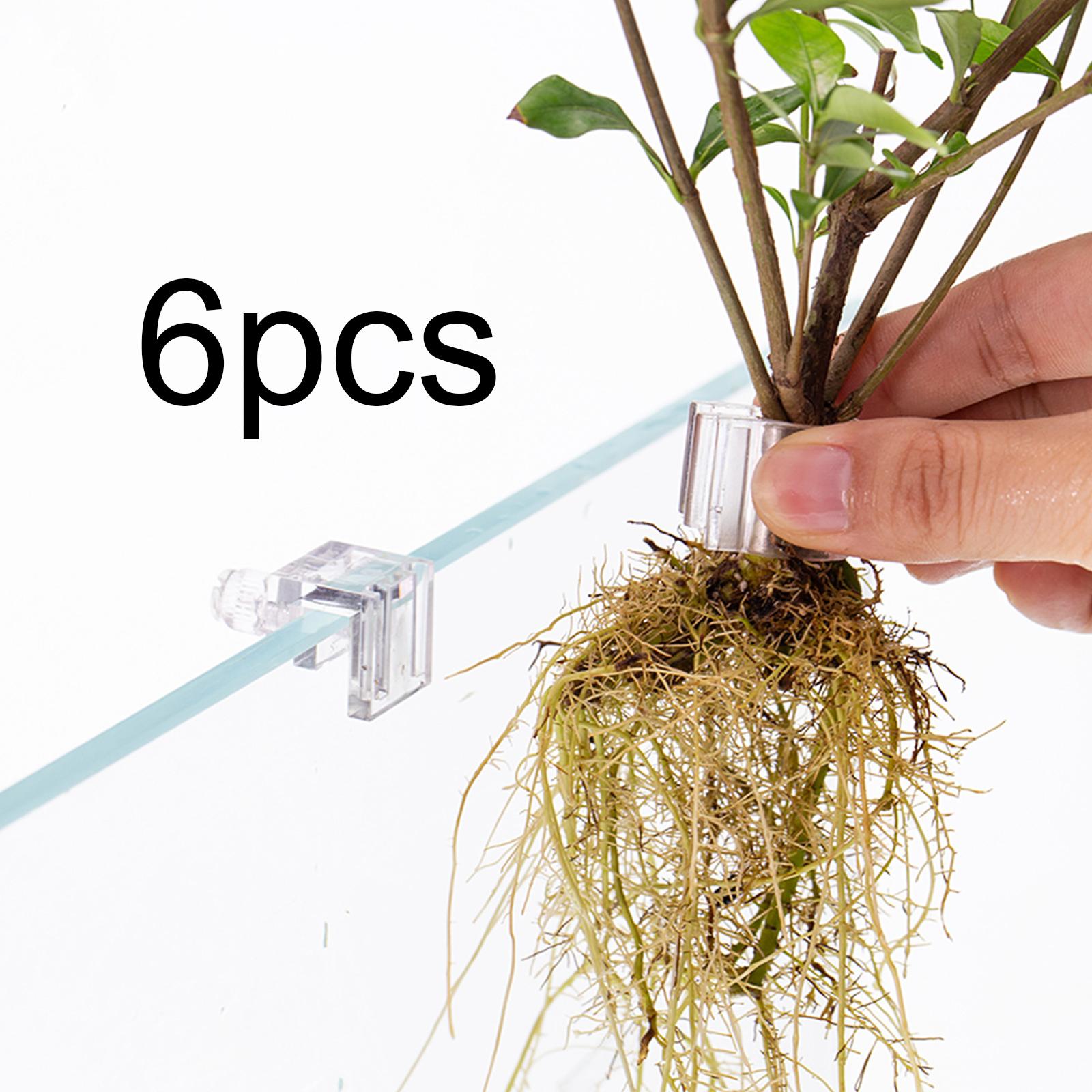 6Pcs Aquarium Plant Holder Sup - đánh giá và giá Aquarium Fertilizer