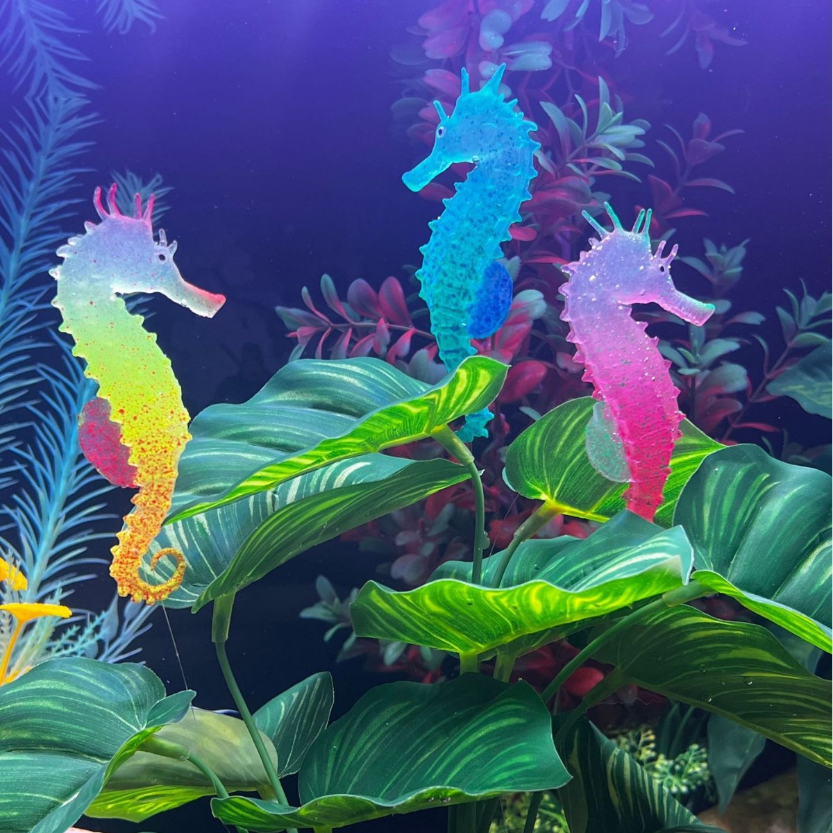 Simulated Luminous Seahorse Fi - đánh giá và giá Aquarium Plant Substrate