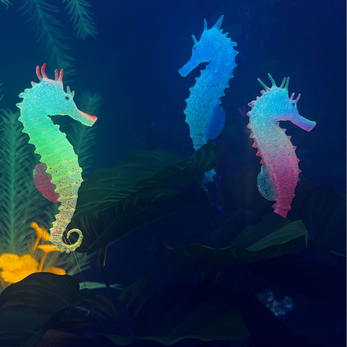 Simulated Luminous Seahorse Fi - đánh giá và giá Aquarium Plant Substrate