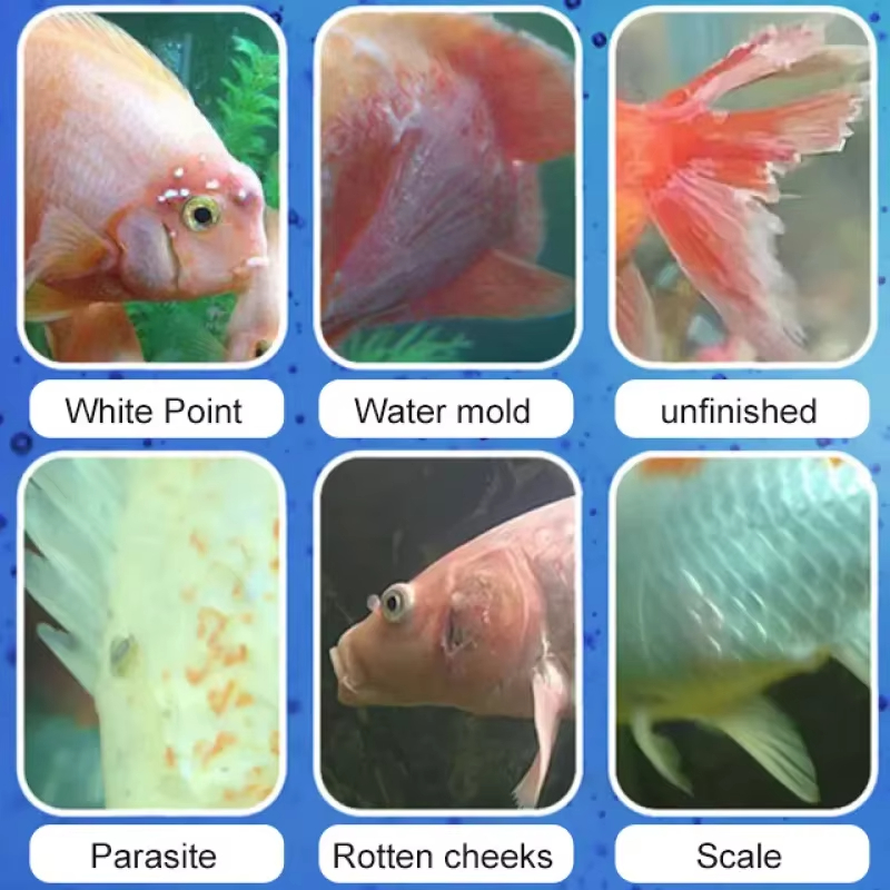SIKEZHAN Fish Disease Treatmen - đánh giá và giá Aquarium Fertilizer