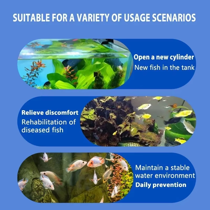 SIKEZHAN Fish Disease Treatmen - đánh giá và giá Aquarium Fertilizer