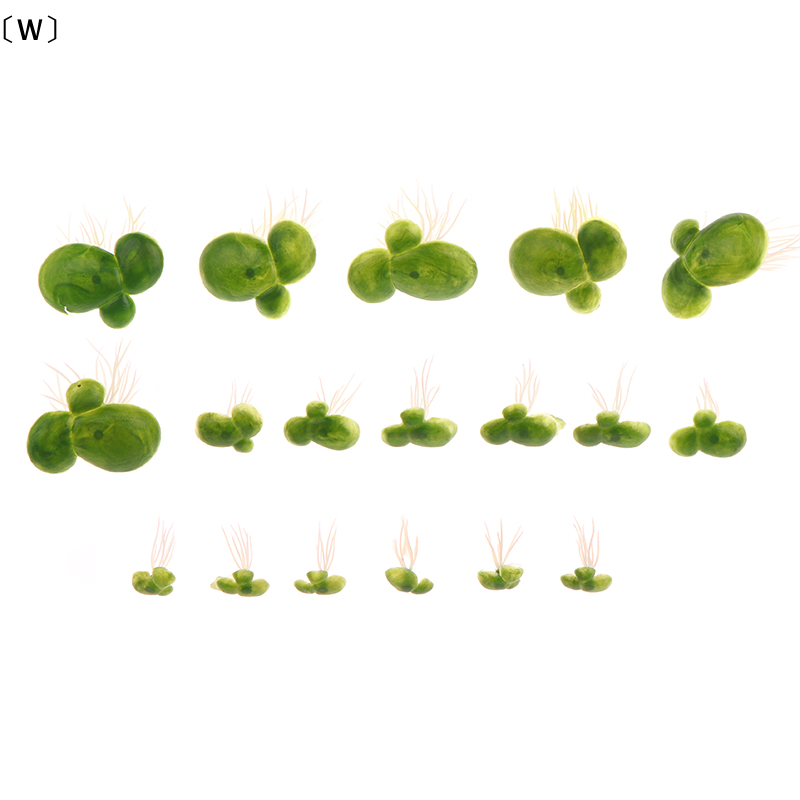 〔W〕18pcs/set Aquarium Fish Tan - đánh giá và giá Aquarium Plants Live