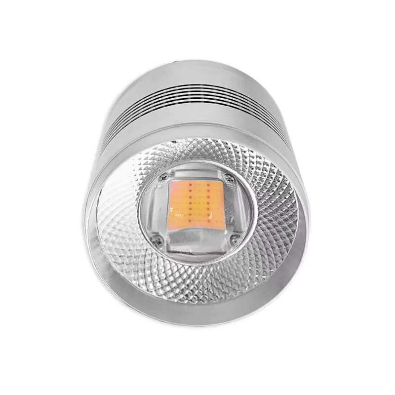 Novatech Global 70W LED Aquari - đánh giá và giá Planted Aquarium Algae Control