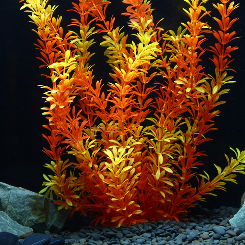 100Cm Thực Vật Nhiệt Đới Lớn N - đánh giá và giá Aquarium Plant Substrate