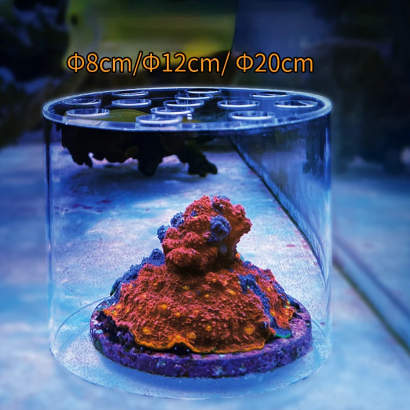 Vastocean Aquarium Arcylic Cor - đánh giá và giá Aquarium Fertilizer