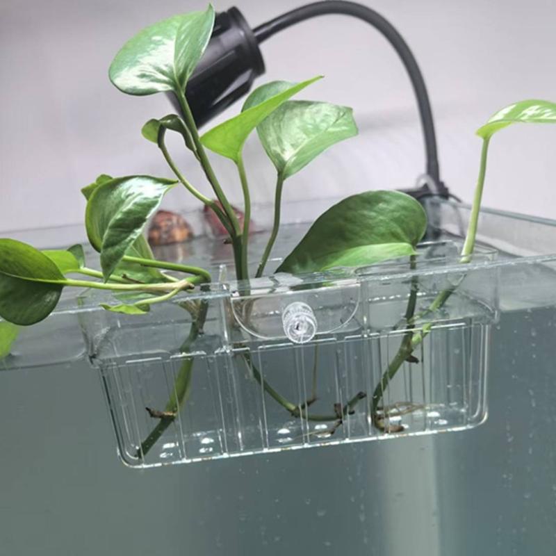 Hydroponic Plant Basket Food G - đánh giá và giá Planted Tank