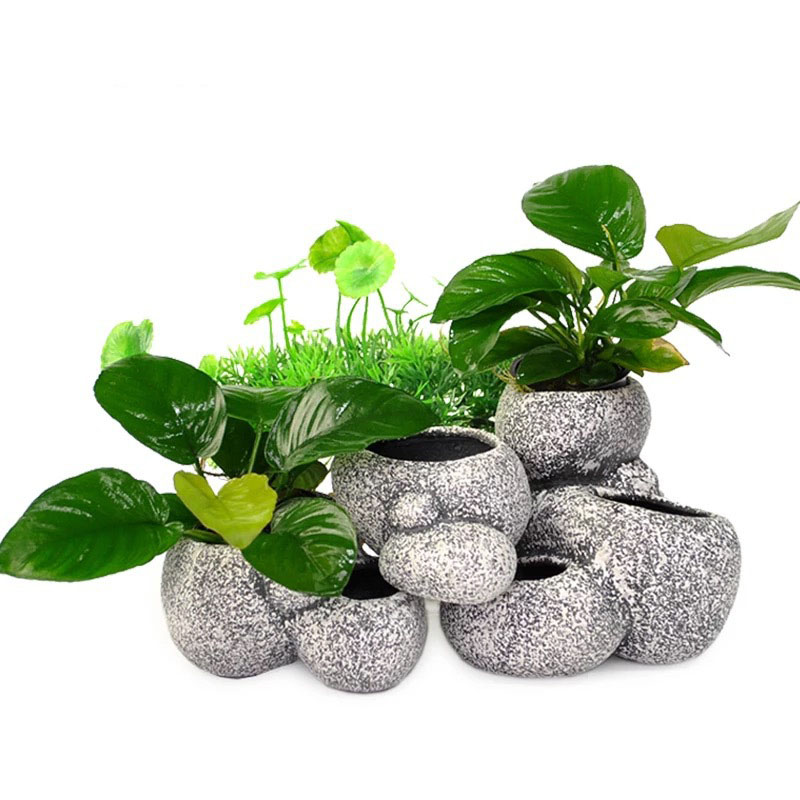 Fish Shrimp Incubation Shelter - đánh giá và giá Plant Aquarium Pot