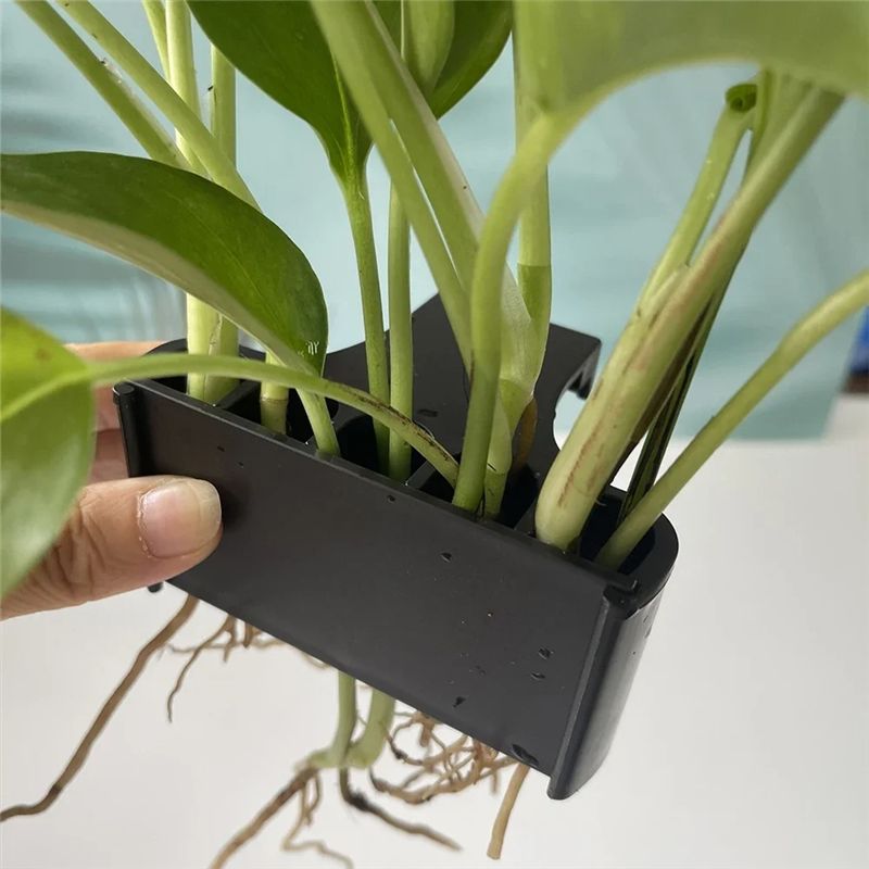 AT05-Aquarium Planter Aquarium - đánh giá và giá Live Plant Aquarium