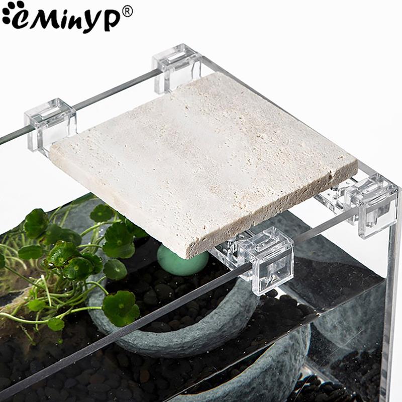 4Pcs Fish Tank Acrylic Clips f - đánh giá và giá Aquarium Plant Holder