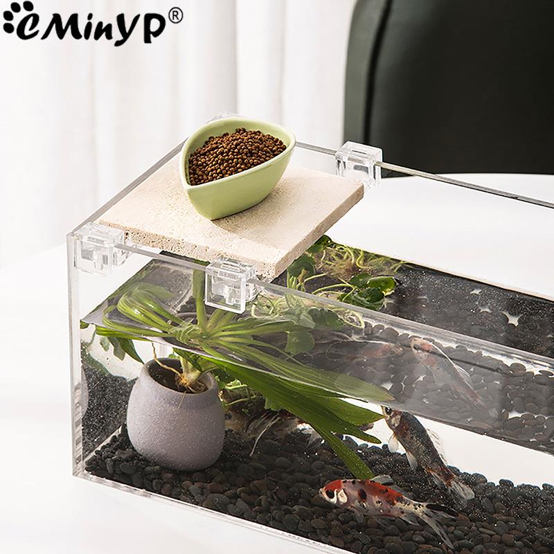 4Pcs Fish Tank Acrylic Clips f - đánh giá và giá Aquarium Plant Holder
