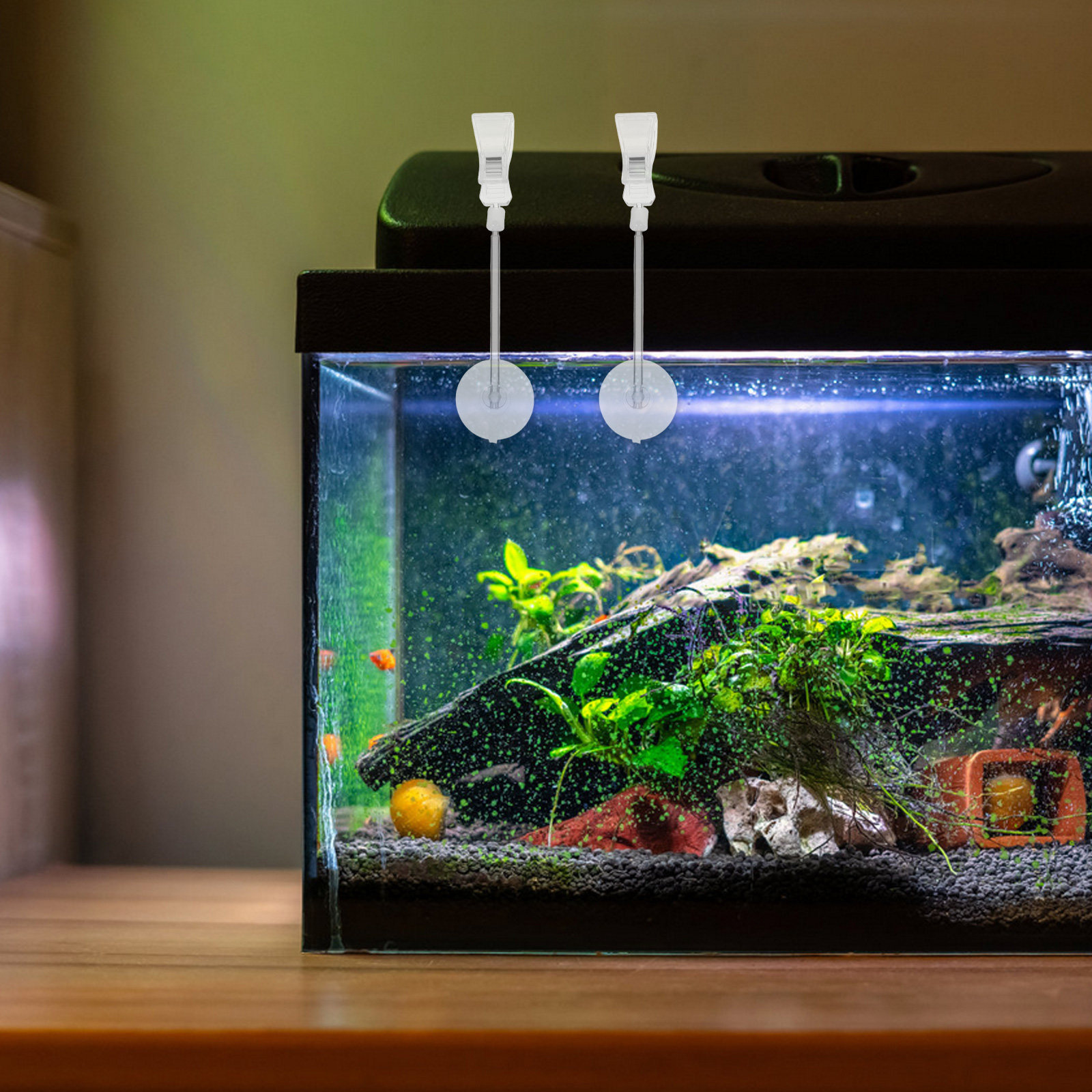 3 pcs Aquarium Fish Tank Hallo - đánh giá và giá Aquarium Plant Holder