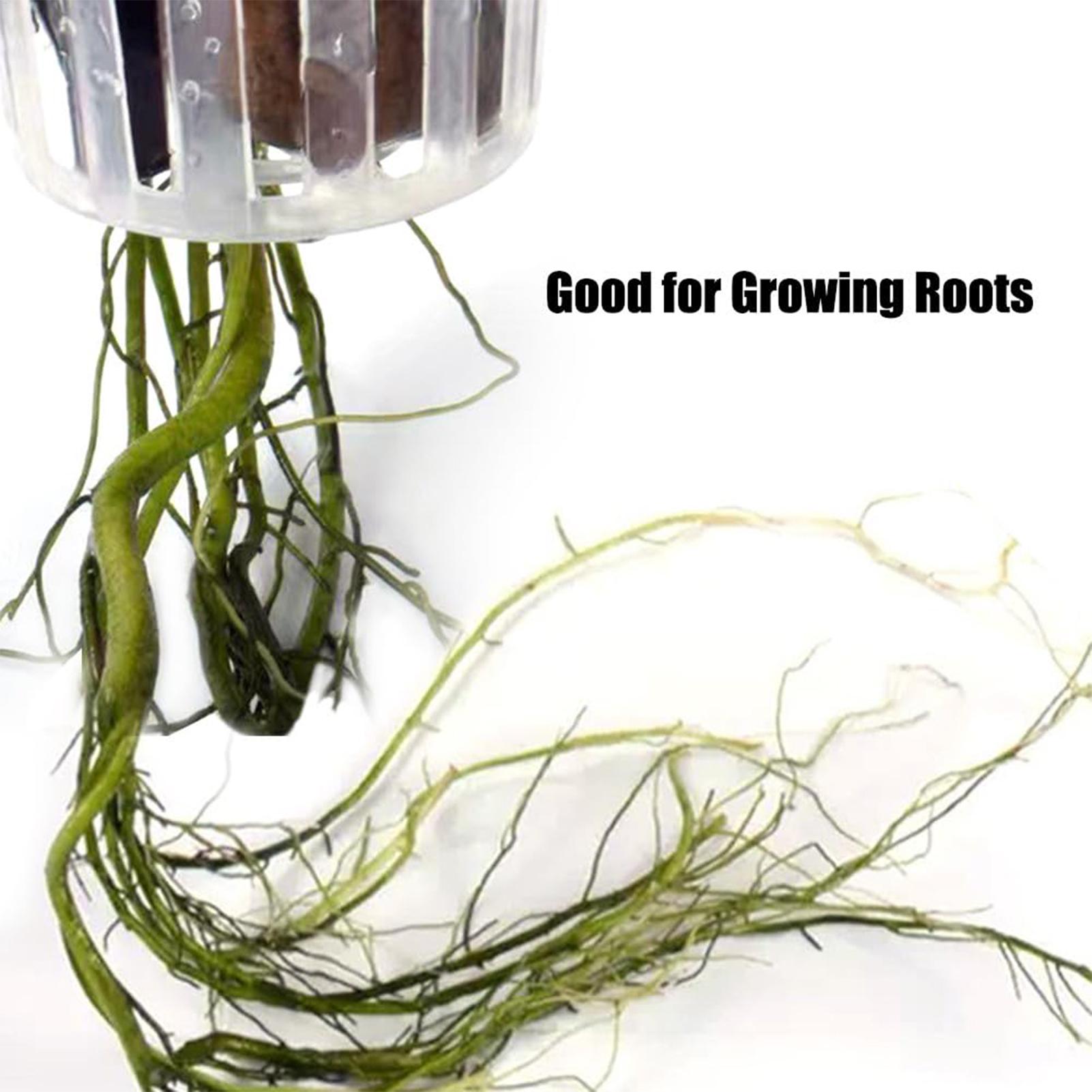 2PCS Hangable Aquatic Plant Ho - đánh giá và giá Plant Aquarium Pot