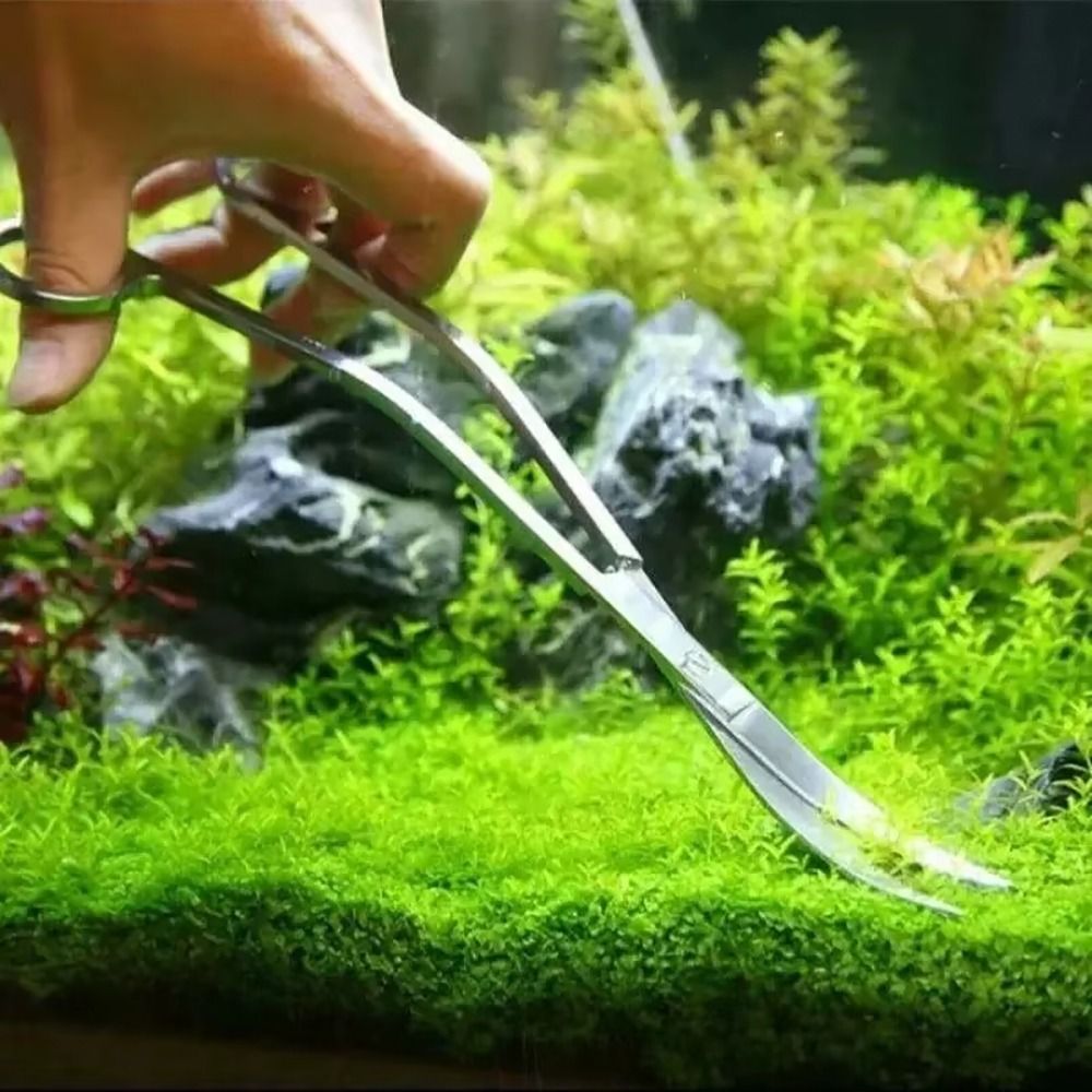 1Pcs Stainless Steel Aquarium  - đánh giá và giá Planted Aquarium Cleaning