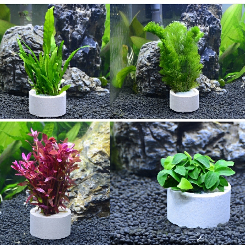 Aquarium Decoration Ceramic Ri - đánh giá và giá Plant Aquarium Pot