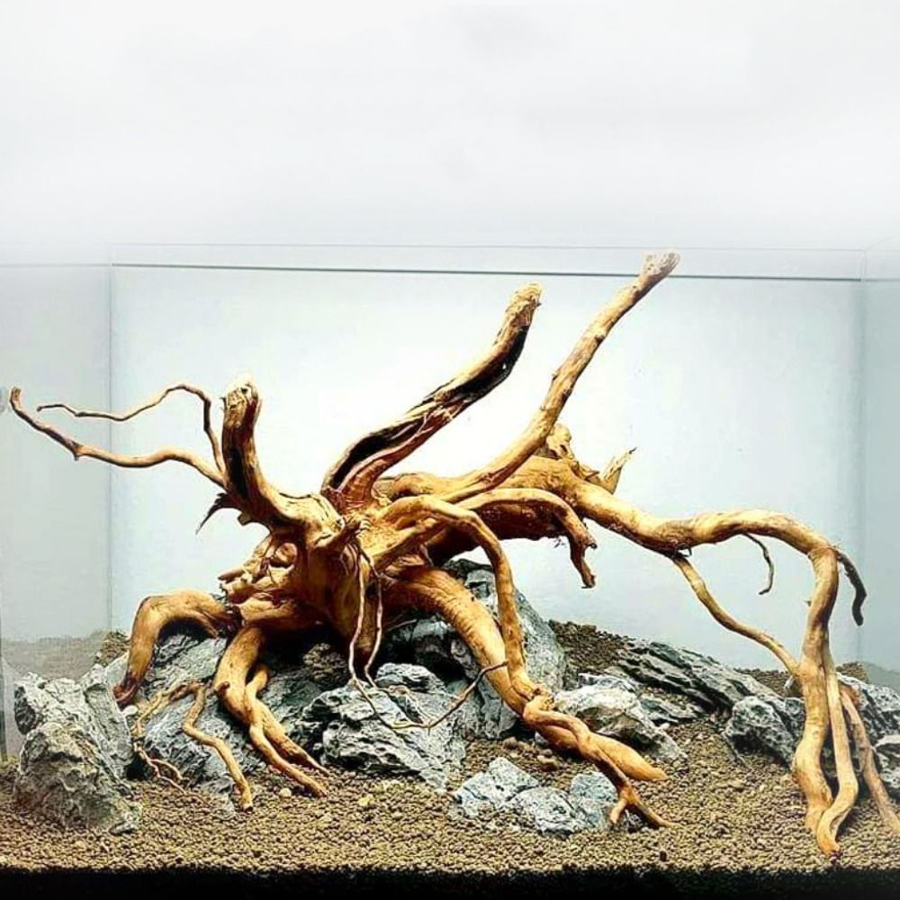 20-25CM Large Aquarium Driftwo - đánh giá và giá Aquarium Driftwood
