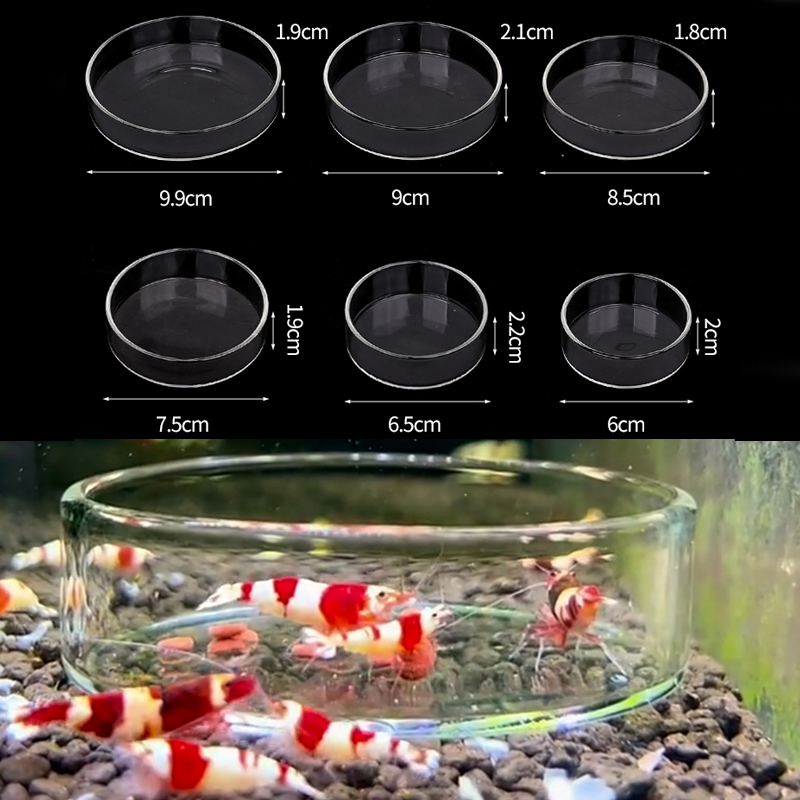 Shrimp Feeding Dish High Trans - đánh giá và giá Aquarium Fertilizer